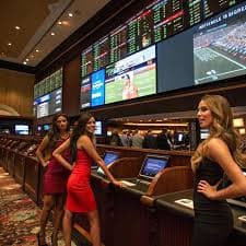 wee999 Hamara Dice lobby mein real-money rounds aur multiple tables